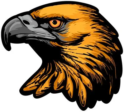 Eagle Face Illustration. Sky. Fly. Vector Stock Illustration