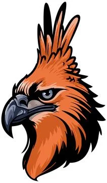 Eagle Face Illustration. Sky. Fly. Vector Stock Illustration