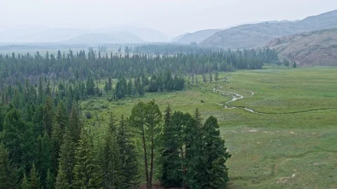 An eagle Falcon attacks a drone flying over a forest in the fog of a Horse below Stock Footage 124827758