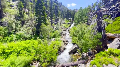 Eagle Fall Trail, Lake Tahoe Stock Footage 285813997