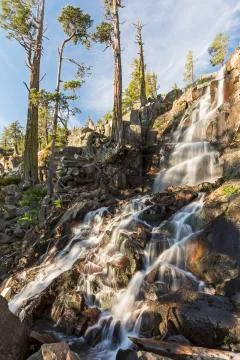 Eagle Falls and Cedar Trees Stock-Fotos