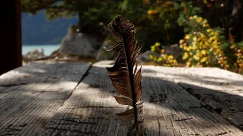 Eagle feather on the top of a outdoor table during windy afternoon. Stock-Footage 122013446