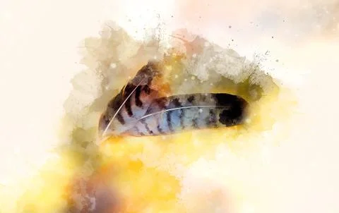 Eagle feathers and softly blurred watercolor background. Stock Illustration