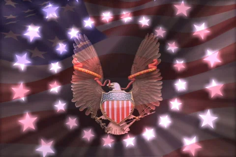 Eagle Flag 2 Video stock 76138