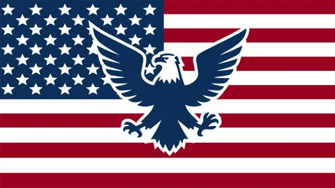 Eagle flag US logo Stock Footage 343997733