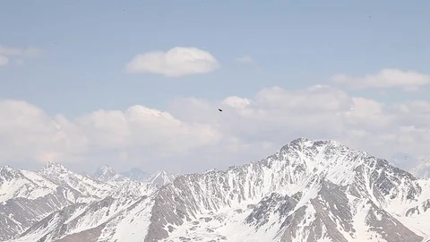 The eagle flies among the mountains Stock Footage 83745137