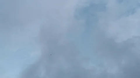 An eagle flies high in the sky. A large bird of prey soars in the blue sky Video stock 145272607