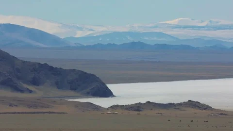 Eagle flies in the mountains Video stock 77106730