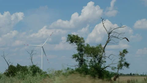 Eagle flies over trees and wind turbine produces electricity Stock Footage 161223189