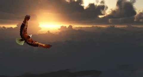 Eagle in Flight Above Dramatic Cloudscape Stock-Illustration