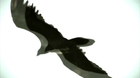 Eagle flight close up with VFX Video stock 102782621