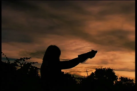 Eagle, flight Видео 984559