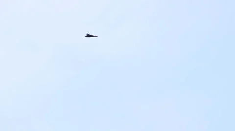 Eagle fly in the sky Stock Footage 5165153