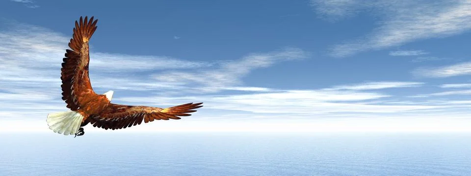 Eagle flying - 3D render Stock Illustration