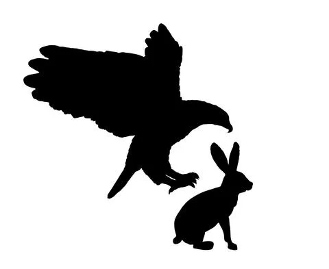 Eagle flying and attack rabbit vector silhouette illustration イラスト素材