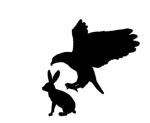 Eagle flying and attack rabbit vector silhouette illustration イラスト素材
