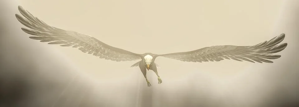 Eagle flying in the clouds at dawn Stock Illustration