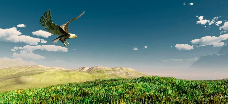 Eagle flying in the clouds Stock Illustration