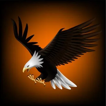 Eagle Flying down and catching prey eps 10 Stock-Illustration