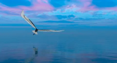 Eagle flying flush Stock Illustration