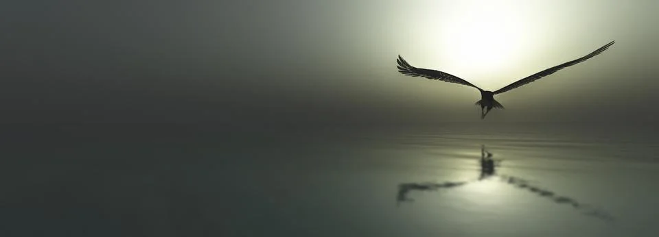 Eagle flying flush with water Stock Illustration
