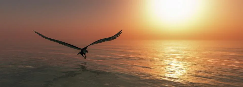 Eagle flying flush with water Stock Illustration