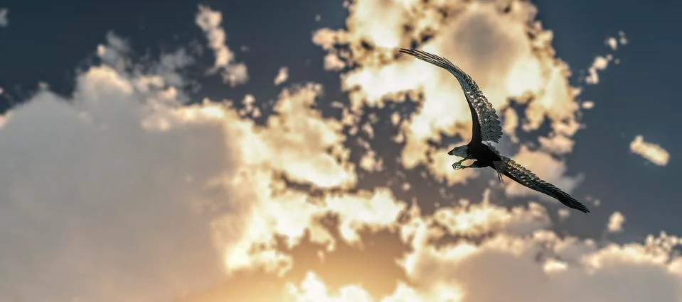 Eagle flying flush with water Stock Illustration