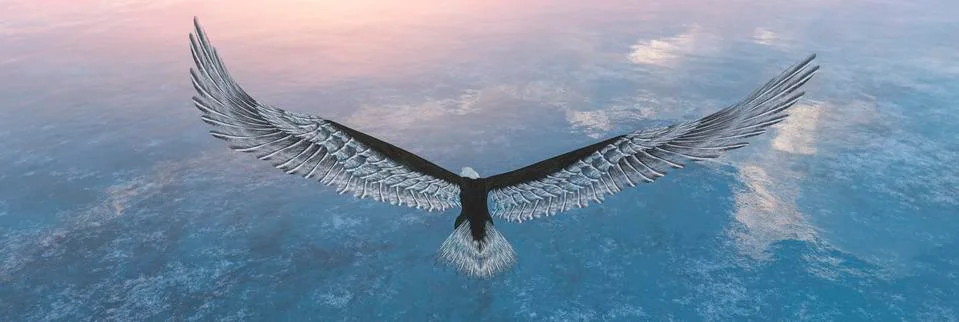 Eagle flying flush with water Stock Illustration