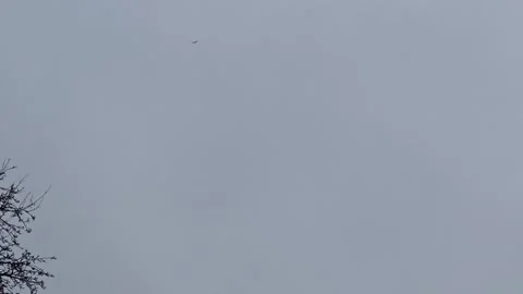 An eagle flying high in the sky 스톡 동영상 321558742