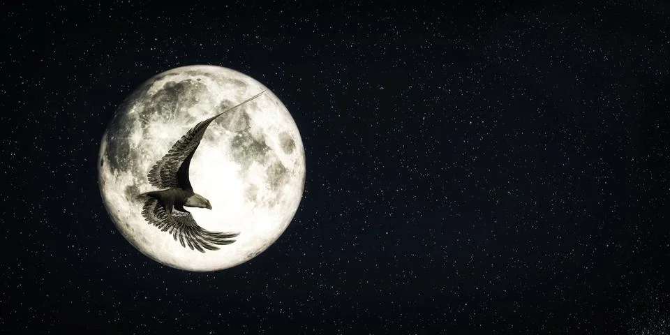 Eagle flying with the moon in the background Stock Illustration