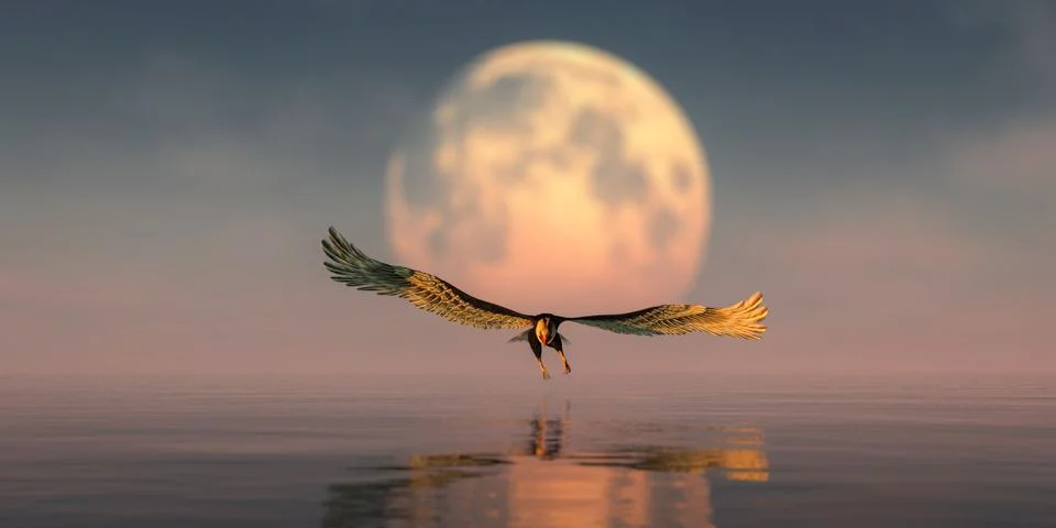 Eagle flying with the moon in the background Stock Illustration
