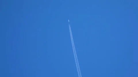 The eagle is flying next to the plane Stock Footage 77531486