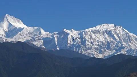Eagle flying over the mountains Stock Footage 79456127