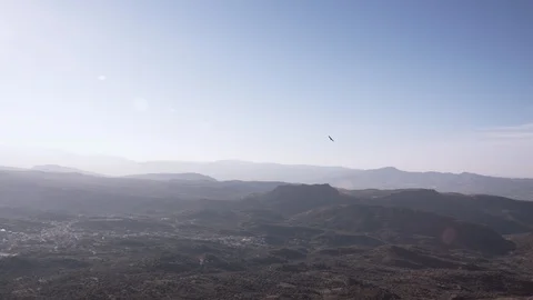 Eagle flying over valley, 2K, Wide shot, Morning, Landscape Stock Footage