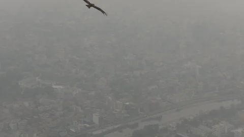 An Eagle flying in smoky polluted sky over Kathmandu city during high AQI Nepal Stock Footage 332081977