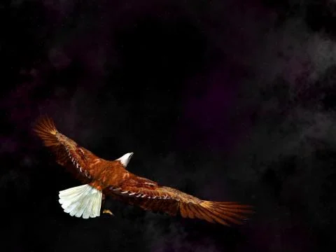 Eagle flying in the universe - 3D render Stock Illustration