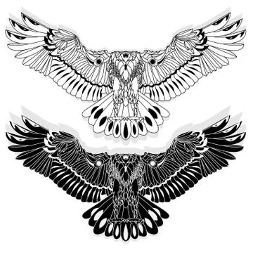 Eagle flying on white backgroun. Stock Illustration