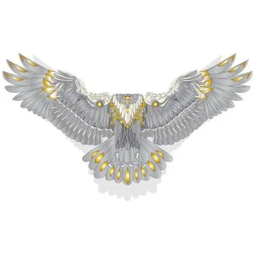 Eagle flying on white background. Stock Illustration
