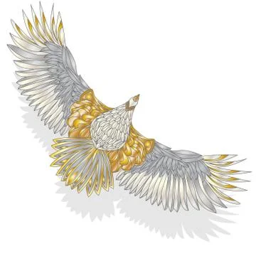 Eagle flying on white background. Stock Illustration