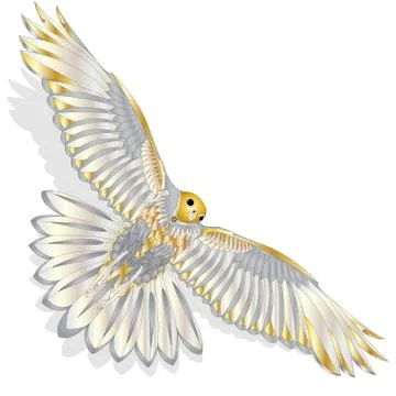 Eagle flying on white background. Stock Illustration