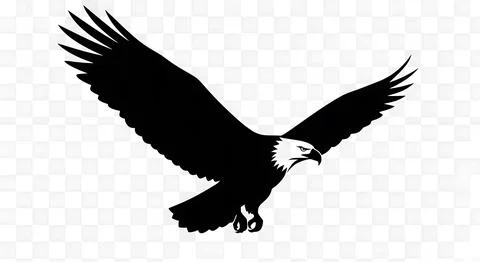 Eagle flying with wings spread wide in bold black and white graphic silhoue.. イラスト素材