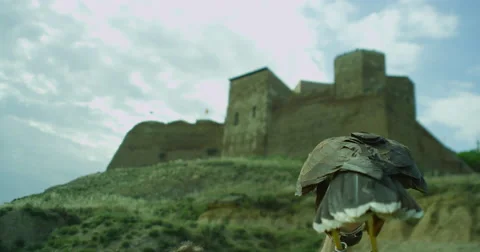 Eagle Flys Away Stock Footage 67573632