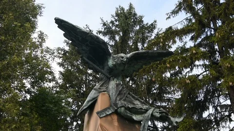 Eagle 스톡 동영상 115032032