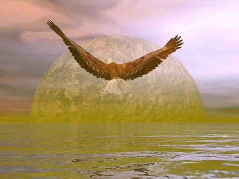 Eagle Freedom to the moon - 3D render Stock Illustration