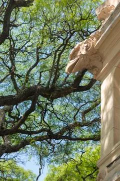 Eagle gargoyle closeup Stock Photos