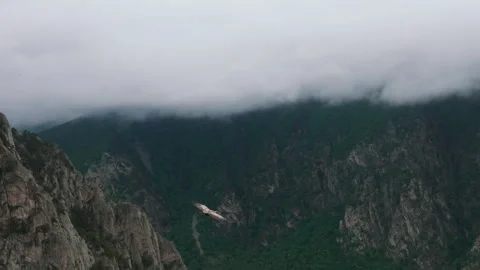A eagle glides over a misty mountain landscape in the early morning light in the Stock Footage 289631504