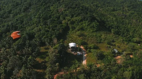 Eagle gracefully spread its wings and flies against the background of the jun Stock Footage 93554343