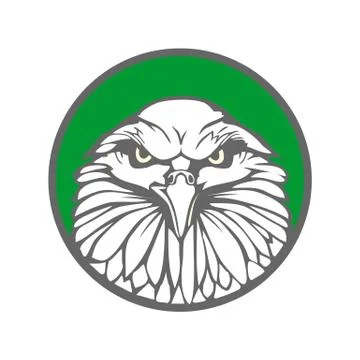 Eagle in green circle. Flat vector illustration. For label, logo, web design, Stock Illustration