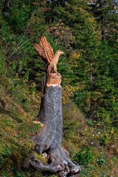 Eagle hand carved from a tree. Stock Photos