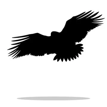 Eagle hawk golden eagle bird black silhouette animal Stock Illustration